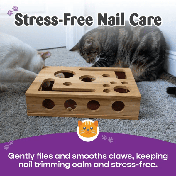 Cat Nail File Puzzle Box
